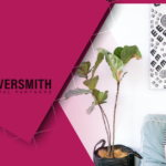 Eric Webster Joins Silversmith Capital Partners as Operating Partner